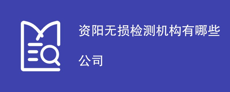 资阳无损检测机构有哪些公司