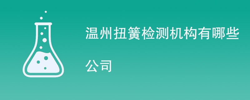 温州扭簧检测机构有哪些公司