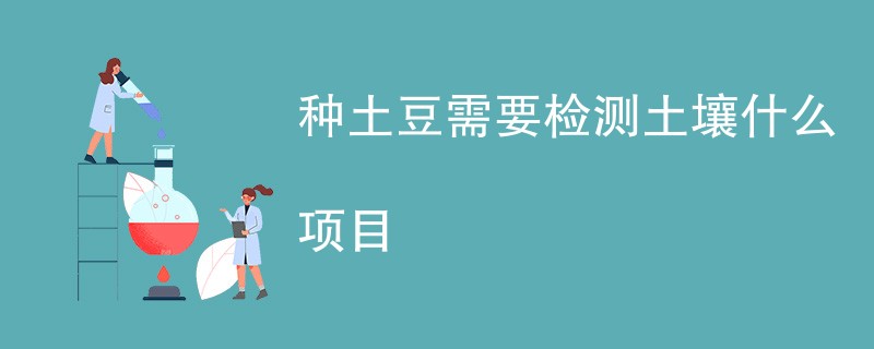 种土豆需要检测土壤什么项目