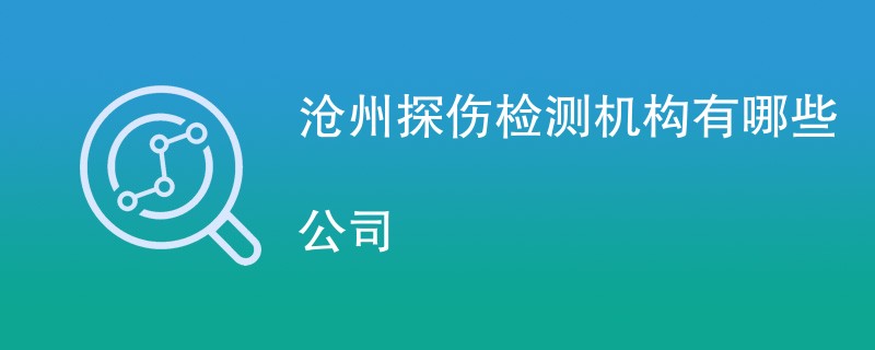 沧州探伤检测机构有哪些公司