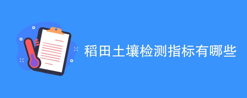 稻田土壤检测指标有哪些