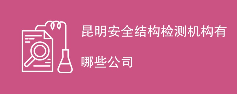 昆明安全结构检测机构有哪些公司