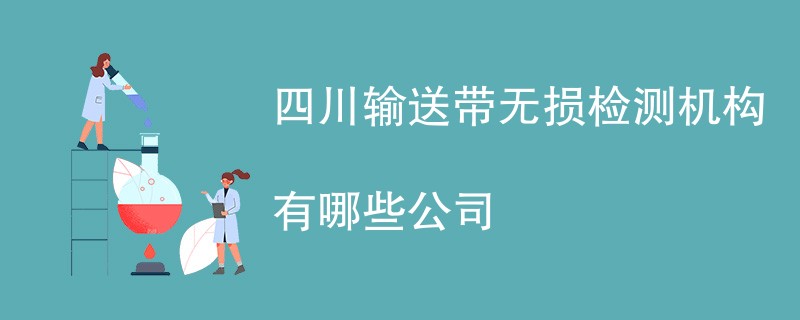 四川输送带无损检测机构有哪些公司