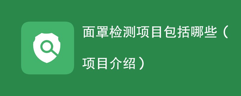 面罩检测项目包括哪些（项目介绍）