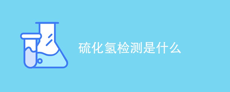 硫化氢检测是什么