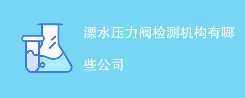 溧水压力阀检测机构有哪些公司