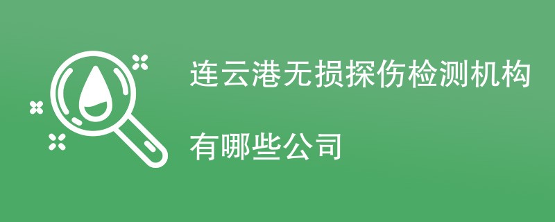 连云港无损探伤检测机构有哪些公司