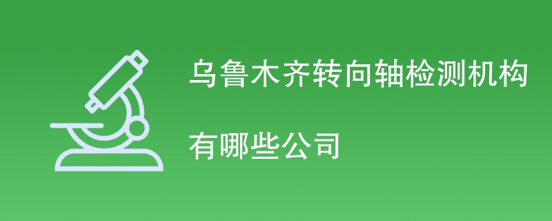 乌鲁木齐转向轴检测机构有哪些公司