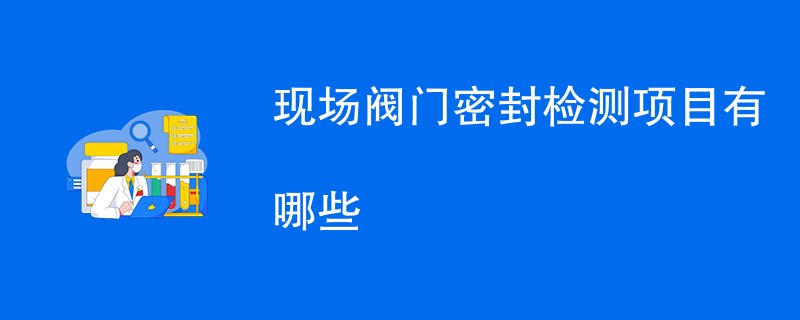 现场阀门密封检测项目有哪些