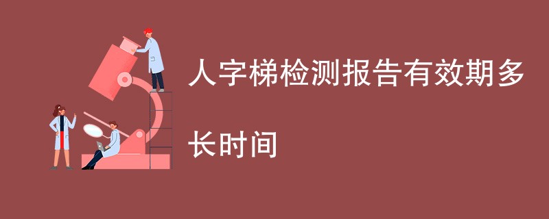 人字梯检测报告有效期多长时间