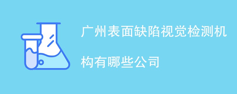 广州表面缺陷视觉检测机构有哪些公司