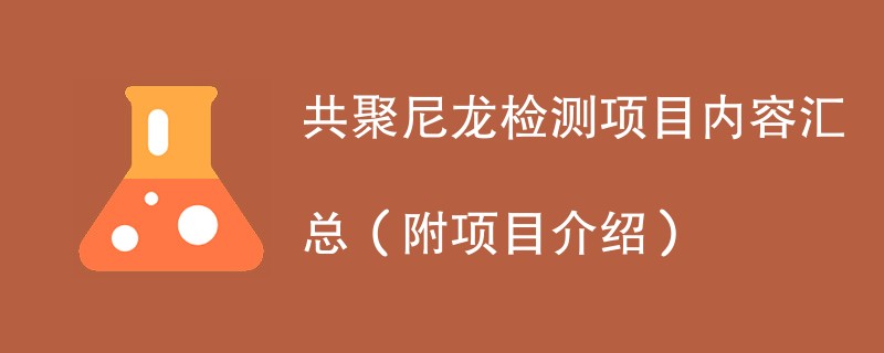 共聚尼龙检测项目内容汇总（附项目介绍）