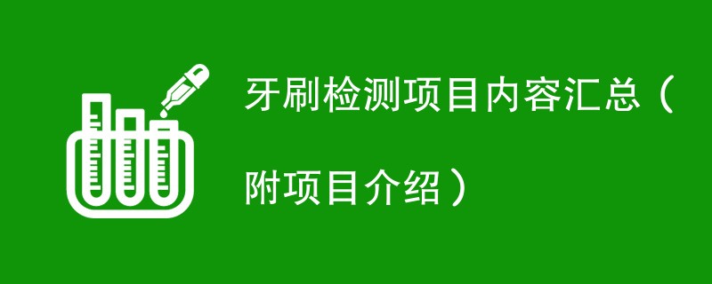 牙刷检测项目内容汇总（附项目介绍）