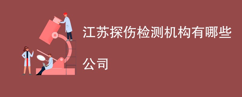 江苏探伤检测机构有哪些公司