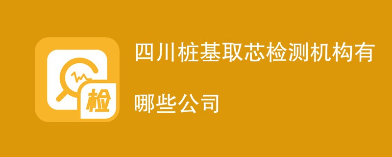 四川桩基取芯检测机构有哪些公司