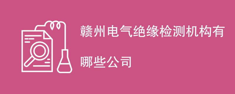 赣州电气绝缘检测机构有哪些公司