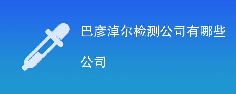 巴彦淖尔检测公司有哪些公司