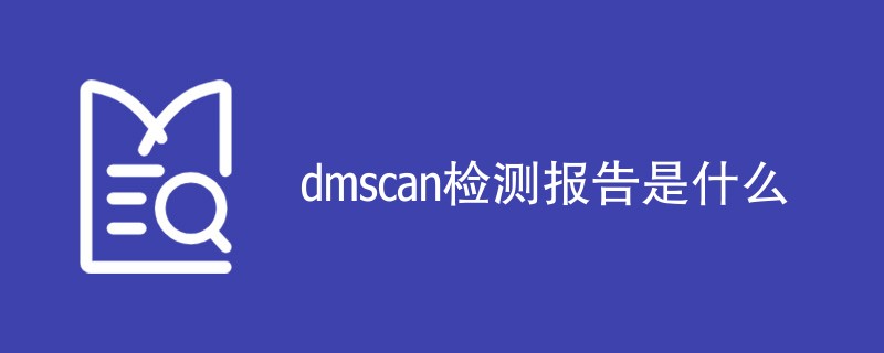 dmscan检测报告是什么