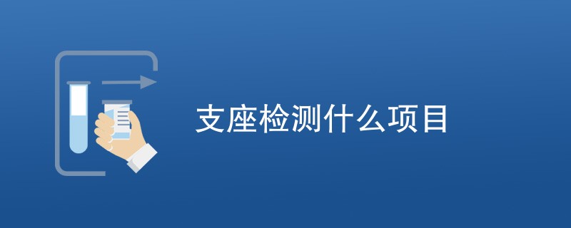 支座检测什么项目