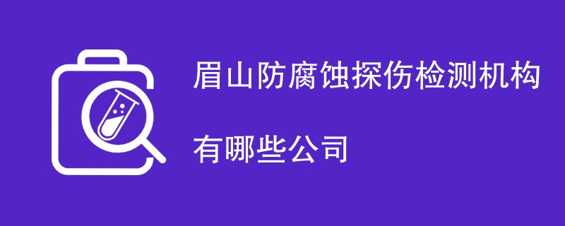 眉山防腐蚀探伤检测机构有哪些公司