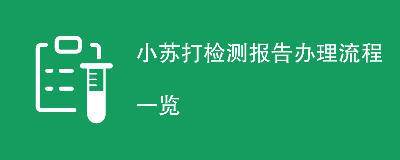 小苏打检测报告办理流程一览