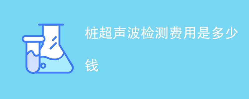 桩超声波检测费用是多少钱