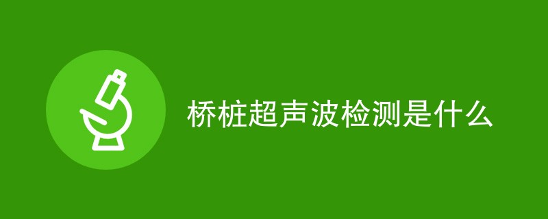 桥桩超声波检测是什么