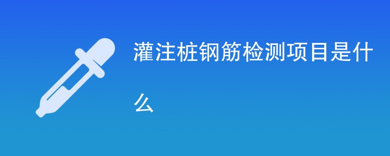 灌注桩钢筋检测项目是什么