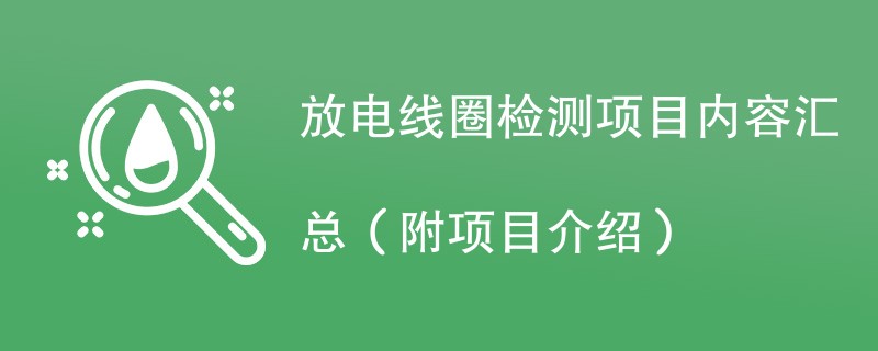 放电线圈检测项目内容汇总（附项目介绍）