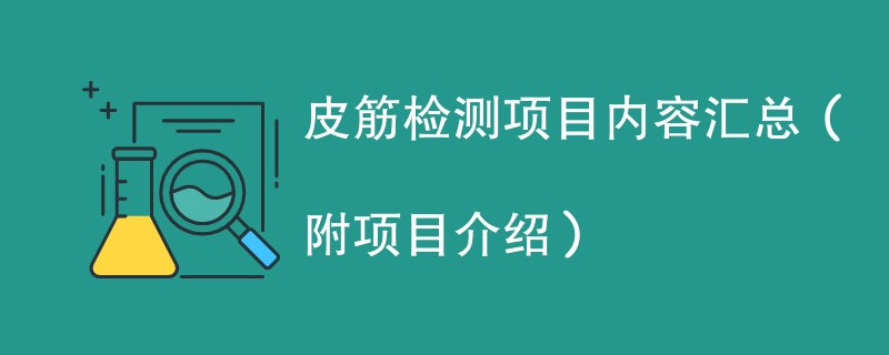 皮筋检测项目内容汇总（附项目介绍）