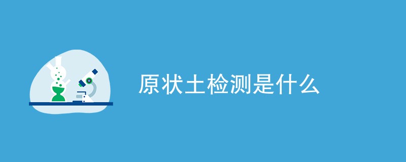 原状土检测是什么