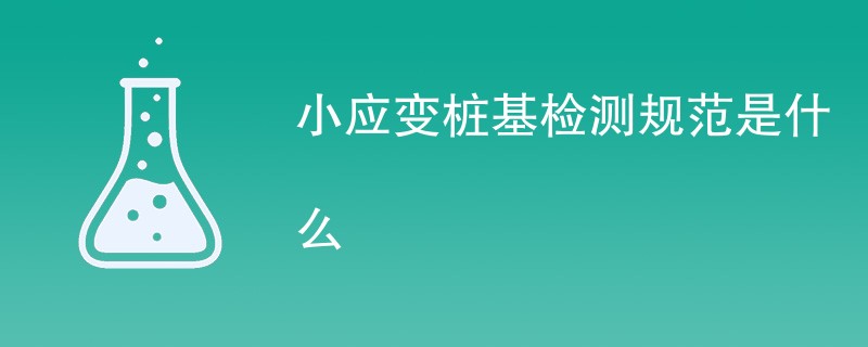 小应变桩基检测规范是什么