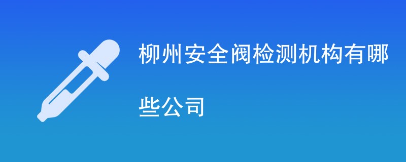 柳州安全阀检测机构有哪些公司