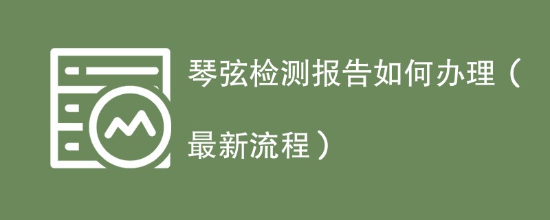 琴弦检测报告如何办理（最新流程）