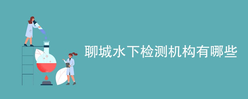 聊城水下检测机构有哪些