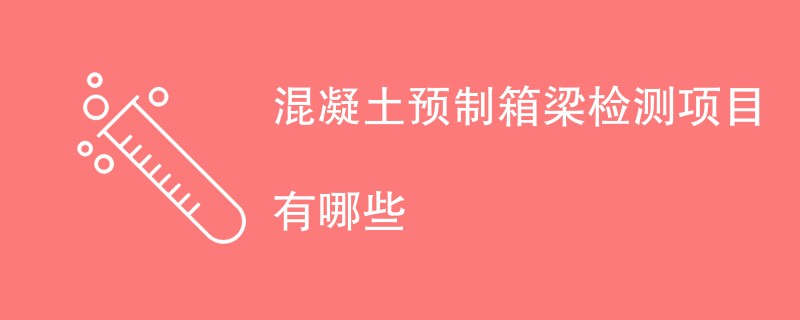 混凝土预制箱梁检测项目有哪些