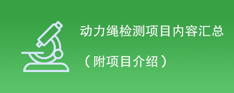 动力绳检测项目内容汇总（附项目介绍）