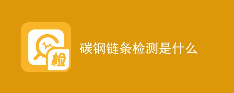 碳钢链条检测是什么