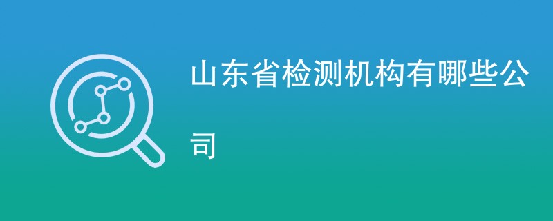 山东省检测机构有哪些公司