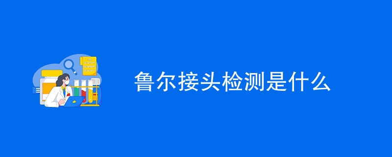 鲁尔接头检测是什么