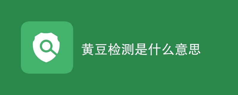 黄豆检测是什么意思