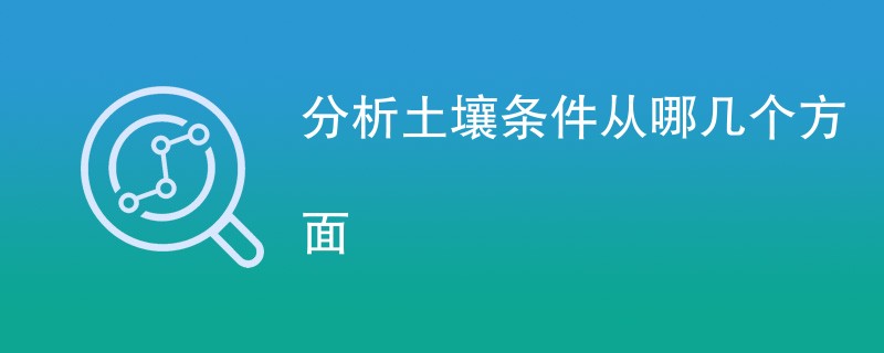 分析土壤条件从哪几个方面