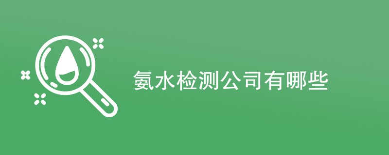 氨水检测公司有哪些