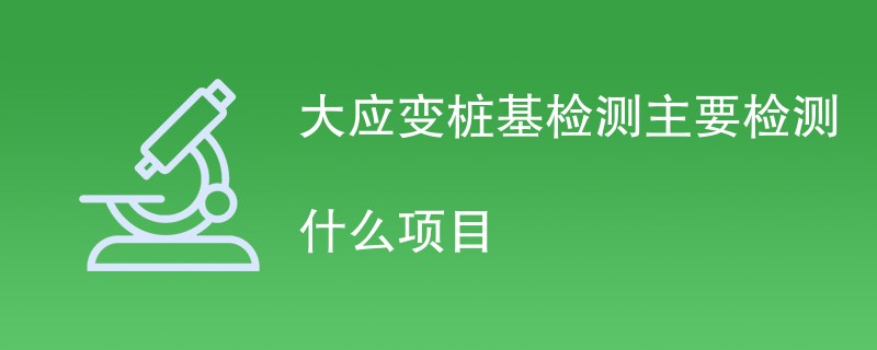 大应变桩基检测主要检测什么项目