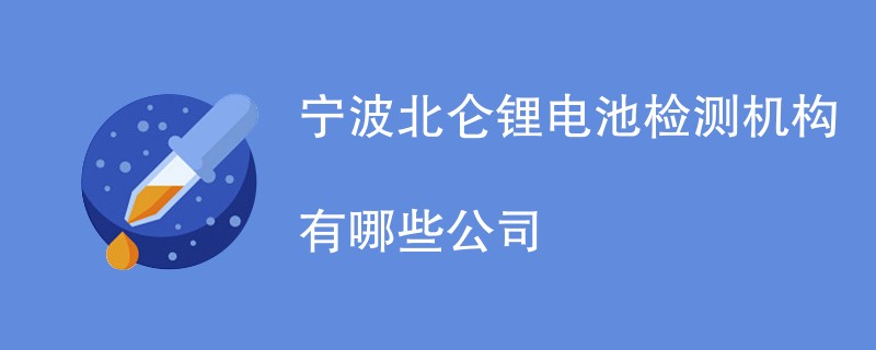 宁波北仑锂电池检测机构有哪些公司