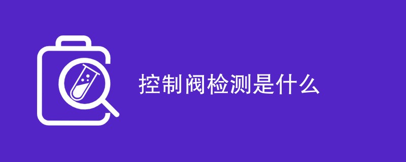 控制阀检测是什么