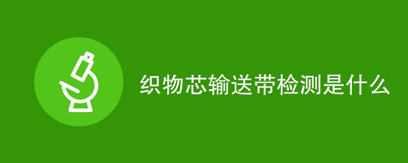 织物芯输送带检测是什么