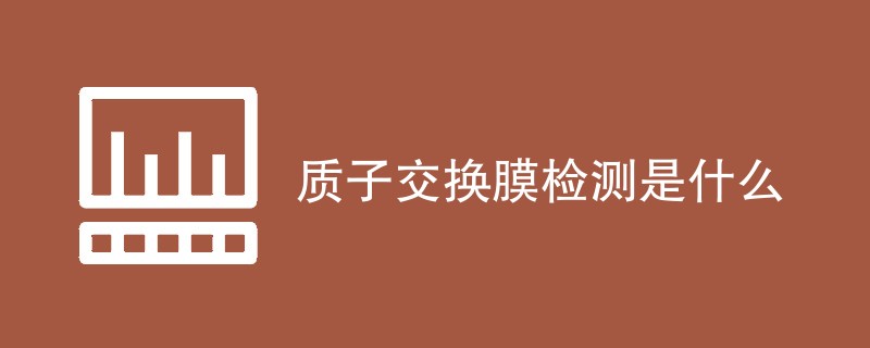 质子交换膜检测是什么