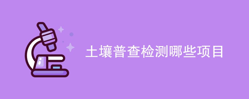 土壤普查检测哪些项目