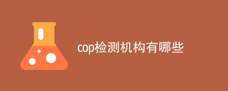 cop检测机构有哪些